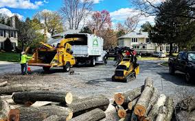 Professional Tree Services in Kouts, IN